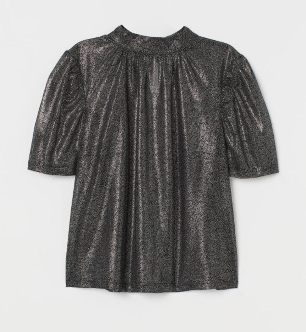 Shimmery Blouse