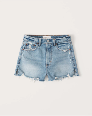 High Rise Distressed Shorts