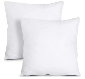 Throw Pillow Insert Set of 2